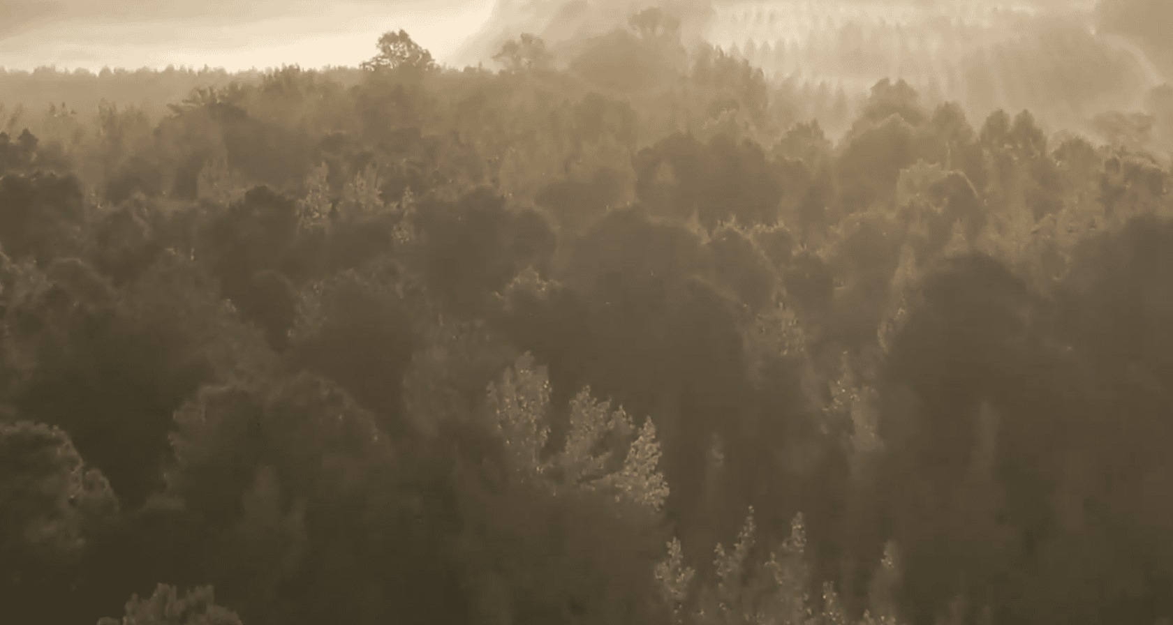 Guided Meditation with an Acupuncturist