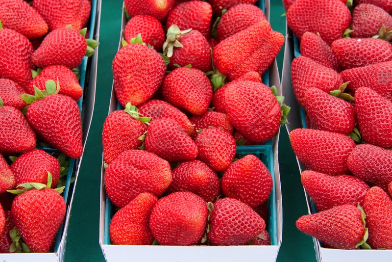 What are Chicago Farmer’s Markets like right now?