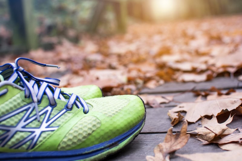 Find your fitness with our favorite fall activities!