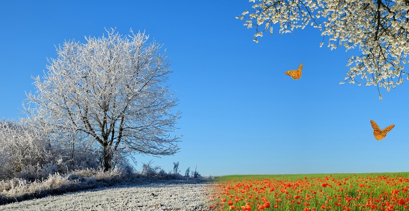 Breaking Out of the Winter Blues… Get Active with Aligned Modern Health and Fleet Feet | WEBINAR