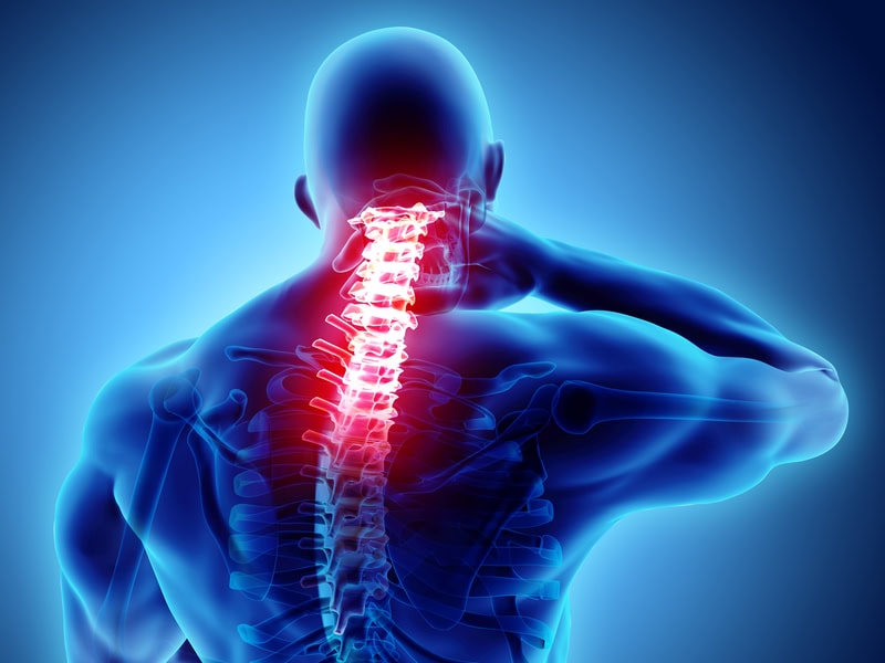 Group Injury Screening: Neck and Back | WEBINAR