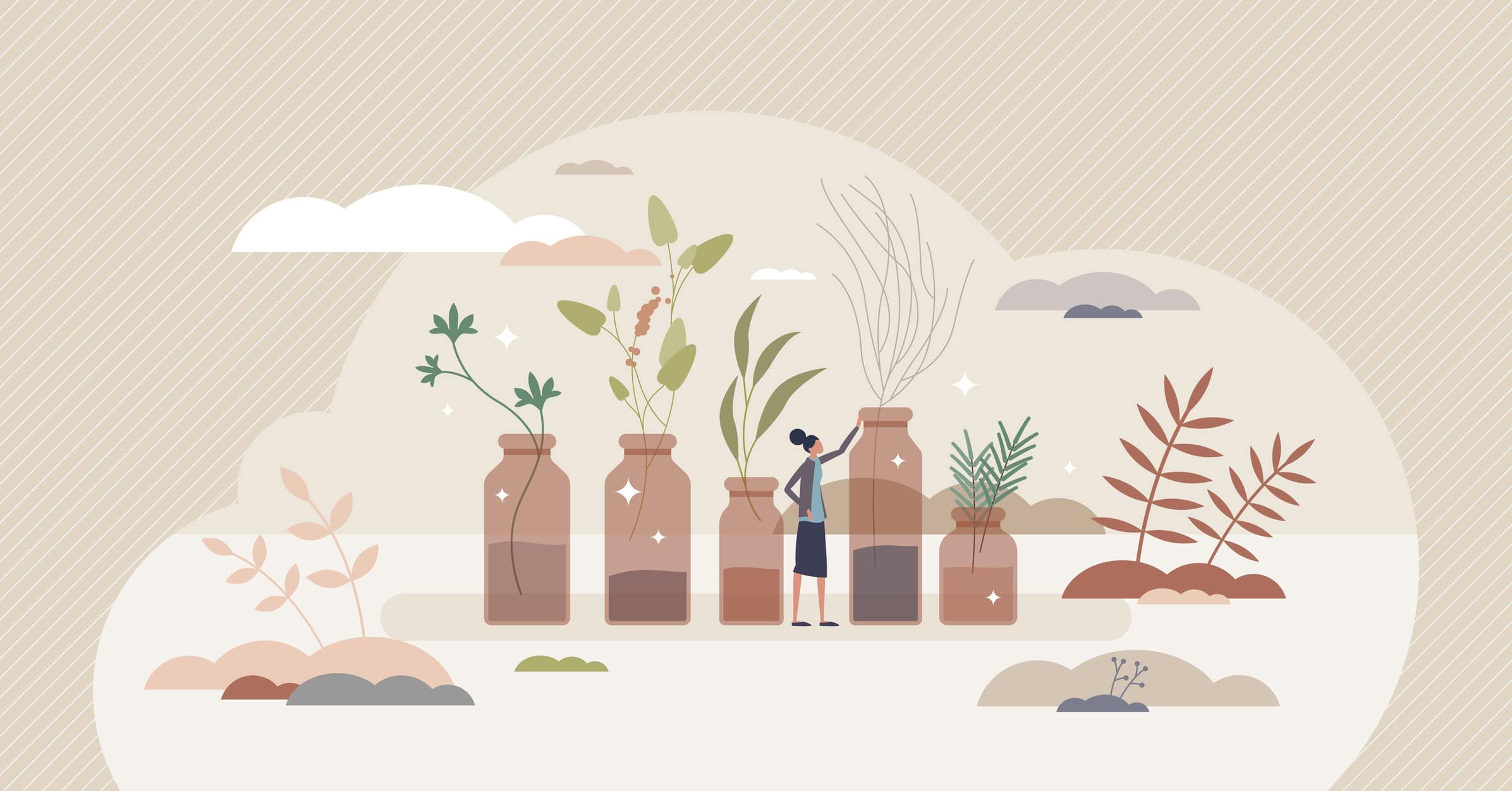 An Introduction to Herbal Medicine | WEBINAR