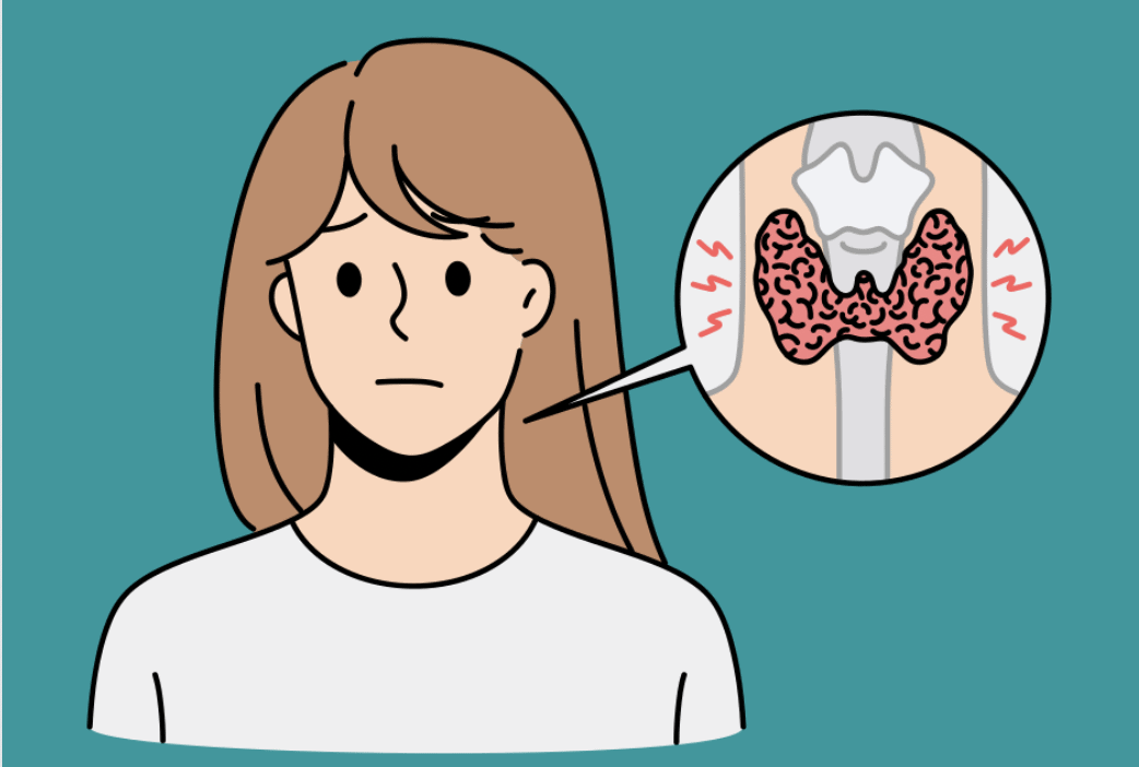 A Conversation on Thyroid Function | WEBINAR