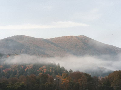 Functional Medicine provider supporting patient wellness in Macon, Georgia