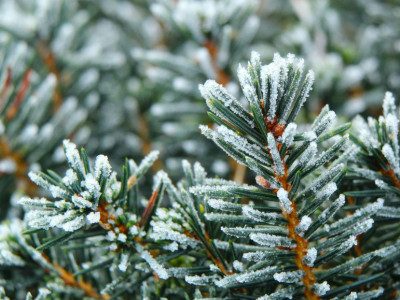 Why Winter Is a Powerful Time to Invest in Your Health