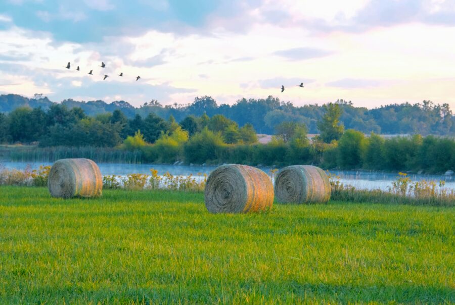 Open Indiana field with hay bales representing virtual hormone therapy care across Indiana