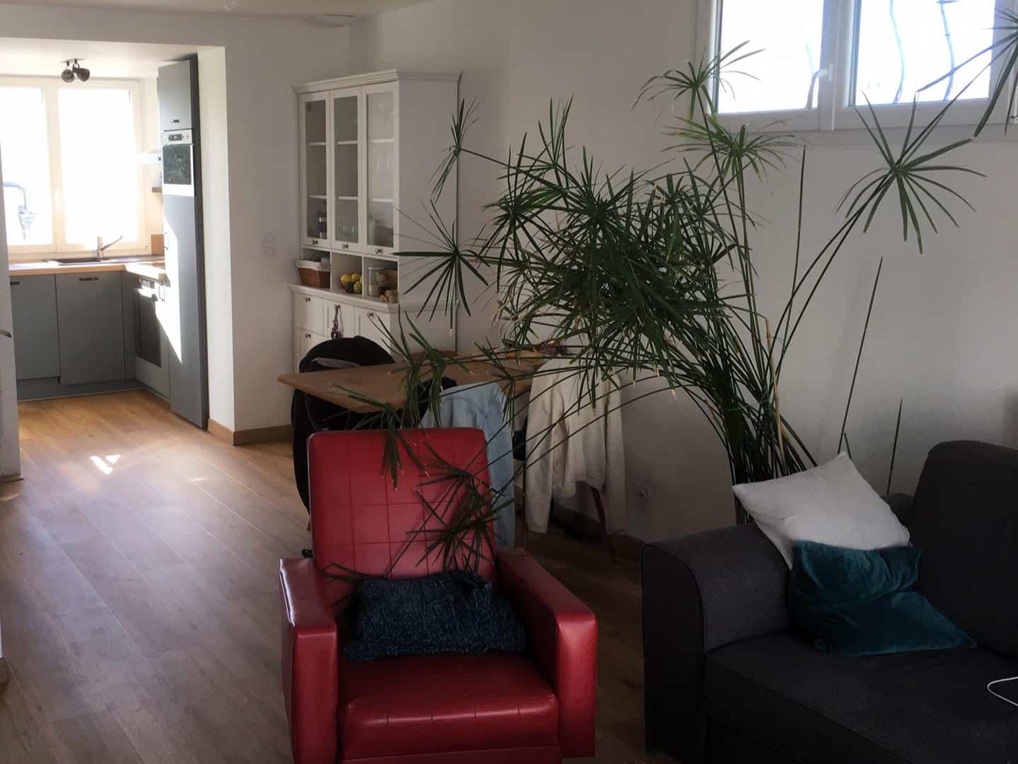 Salon avec fauteuils colorés, canapé gris, et cuisine ouverte, apportant une ambiance lumineuse et agréable à l'espace.