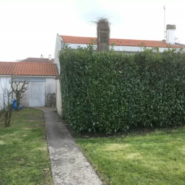 Cet espace extérieur d’origine, avec son cheminement central et ses bâtiments anciens, présentait un fort potentiel pour une rénovation complète. Les haies bordant l'allée et les constructions en arrière-plan reflétaient un style traditionnel nécessitant une mise en valeur pour optimiser l'esthétique et la fonctionnalité de l'ensemble.
