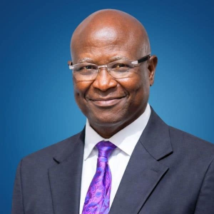 Theophilus Ochonogor​