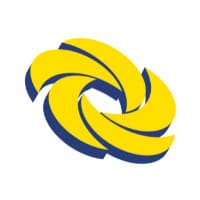 Лого цветок 2