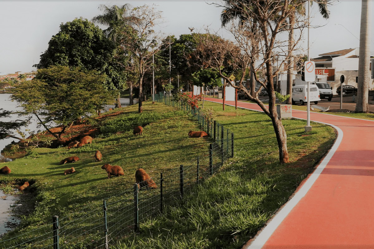 Como alinhar funil de vendas com a jornada do cliente em São José do Rio Preto?