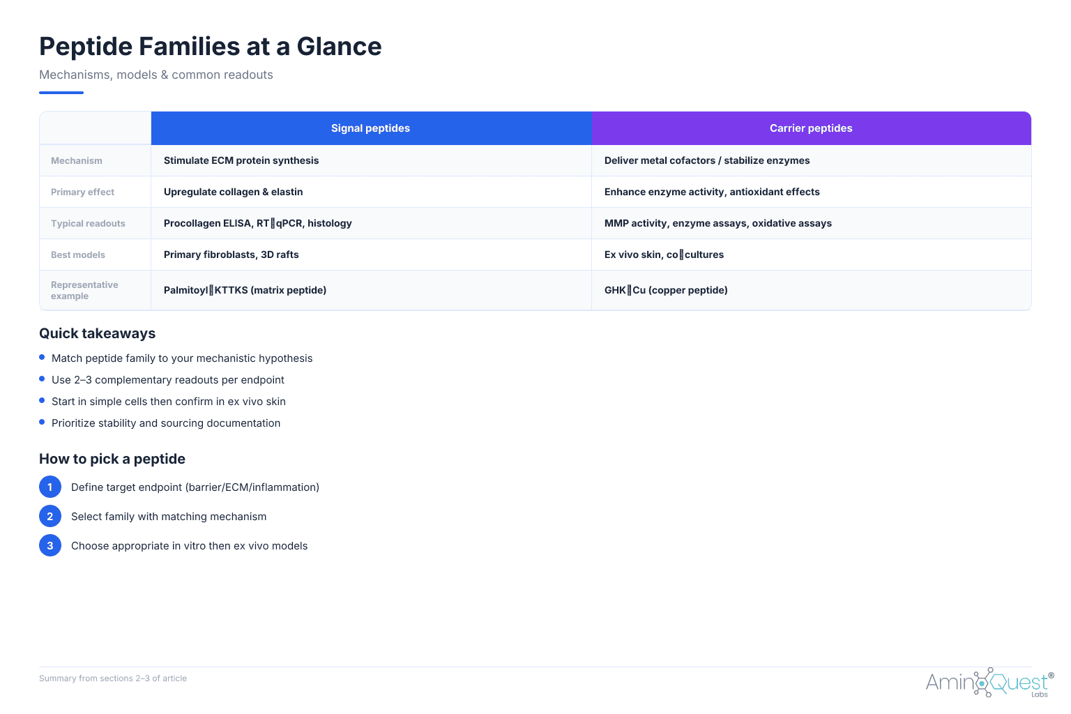 Infographic comparing peptide families, models and readouts for peptides for skin research