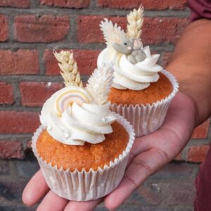 Gender reveal cupcakes - Bohemian