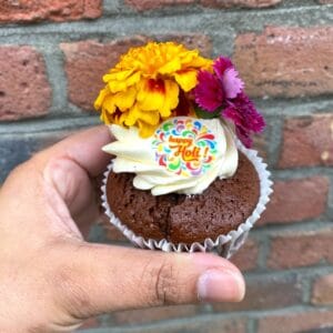 Holi-cupcake