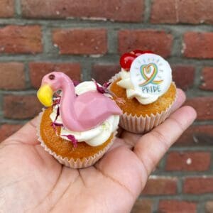 Pride Month mini cupcake set
