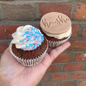 cupcake-gender-reveal-sprinkels-editie