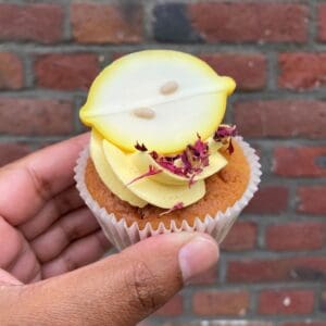 cupcake-seizoensmaken-zomer-framboos-sorbet