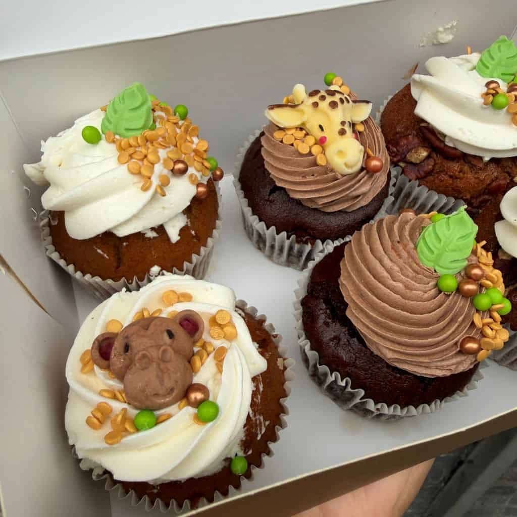 cupcakes-jungle-box