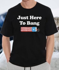 Fourth of July 4th of July I'm Just Here To Bang T-Shirt