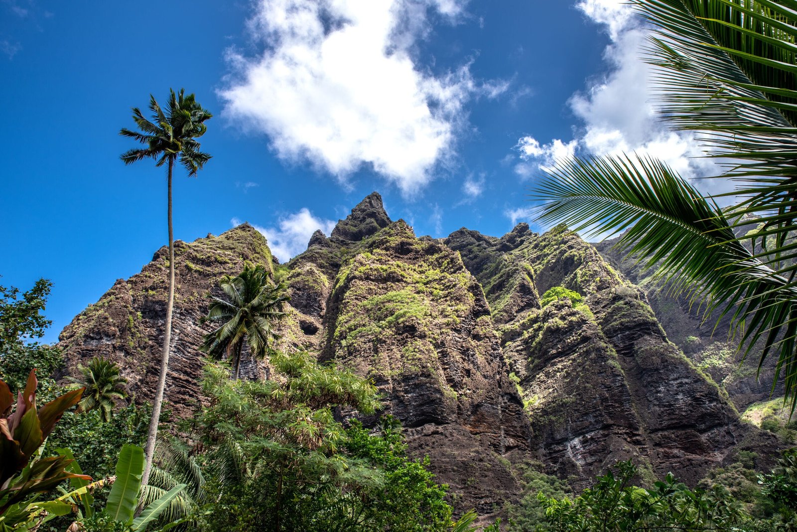 P2_08_NUKU HIVA_MARQUISES - NUKU HIVA-2 © Stéphane Mailion Photography-2499x1668
