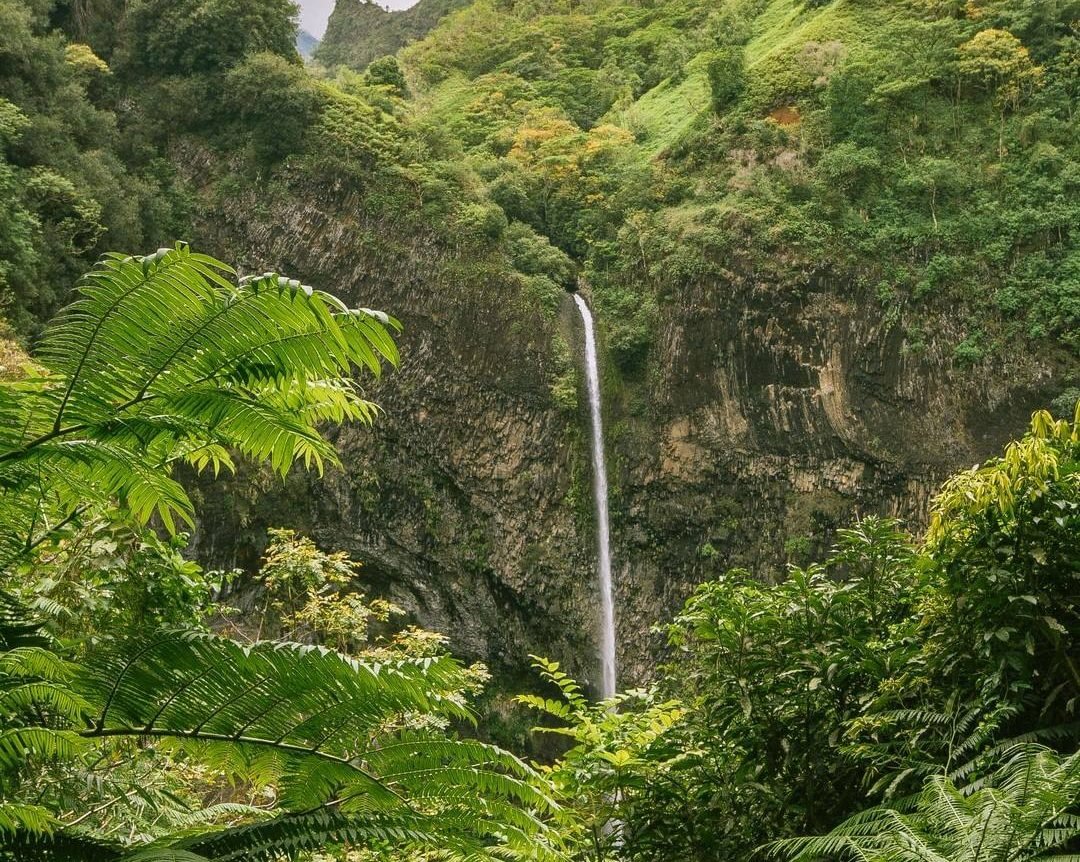 Tahit tourisme cascade
