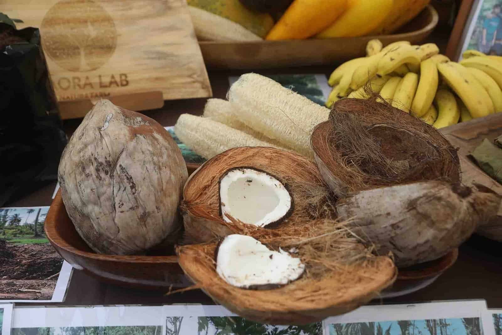 543341442_2946608588876401_5969406761419906357_n