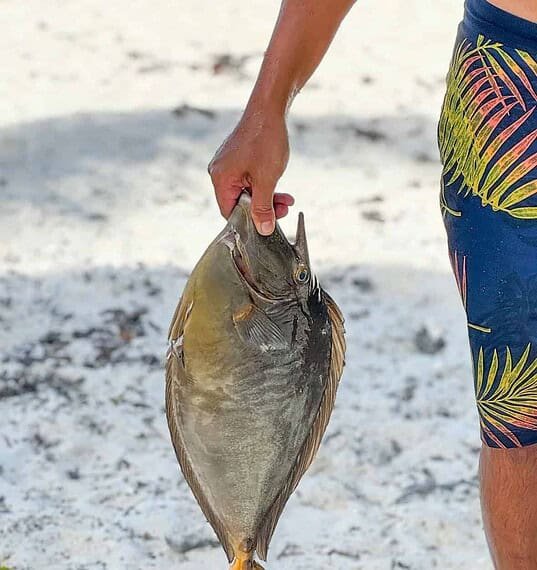 E80954FA-E93B-4DDC-ABBA-4435446F7E7F 2_Original