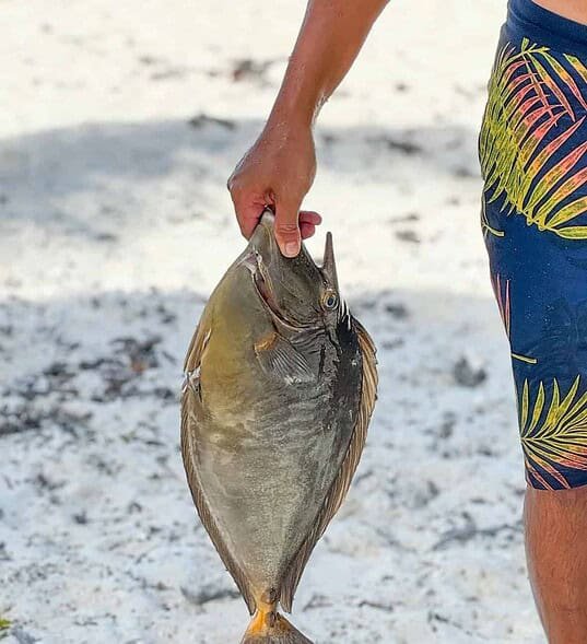 E80954FA-E93B-4DDC-ABBA-4435446F7E7F 2_Original