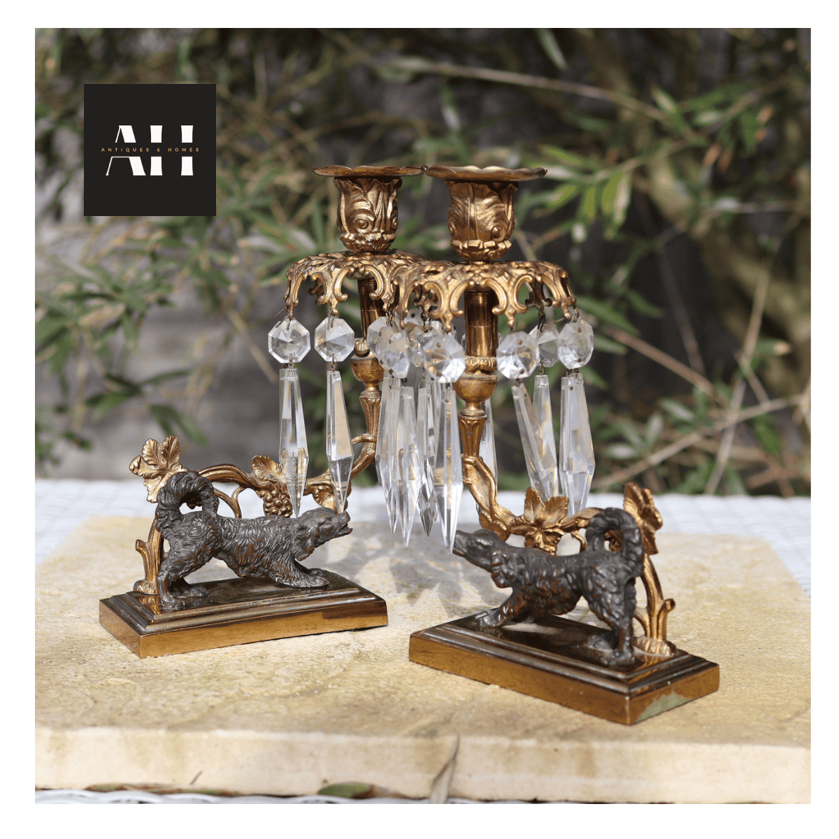Antique Gilt Spaniel Candelabra shown at an angle highlighting the gilt rococo framework and full set of glass crystal drops