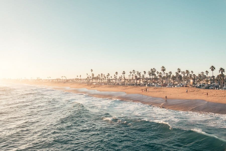 California beach with palm trees, ocean waves, and golden sand during sunset.