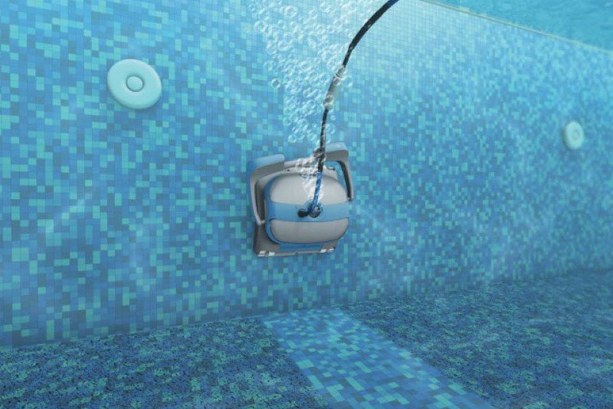 dolphin zwembadrobot zenit 2