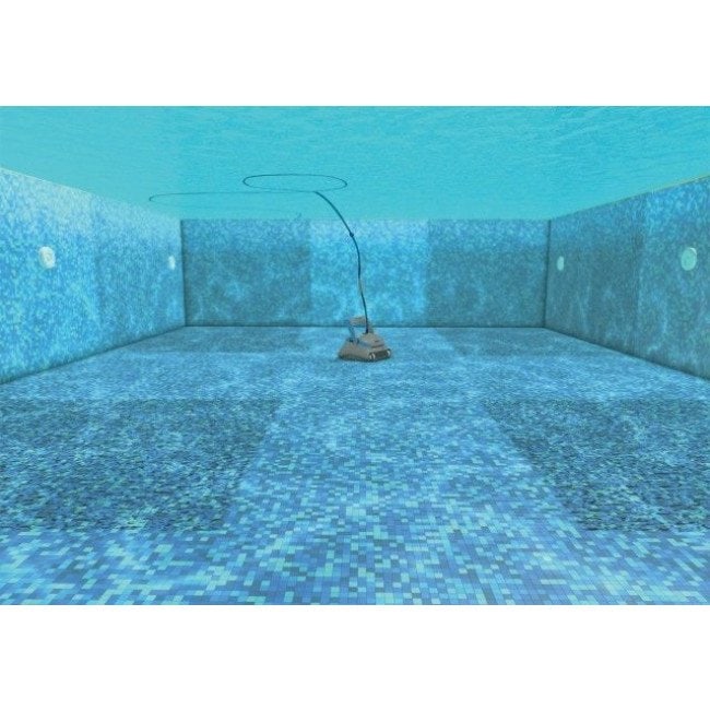 dolphin zwembadrobot zenit 3