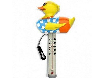 thermometer daisy