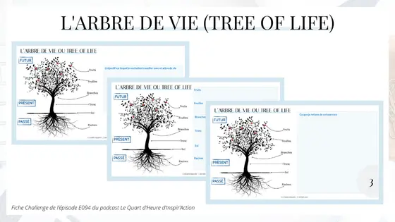 Fiche Challenge E094 - Faire le point avec l'arbre de vie