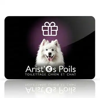 Carte Cadeau - Valable 1 an