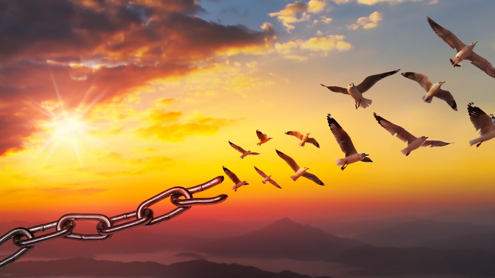 World,Freedom,Day,Concept,,Bird,Flying,And,Broken,Chains,At
