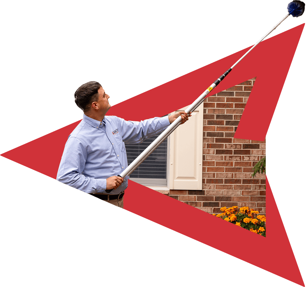 New Jersey Pest Control Solutions