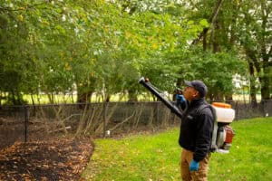 Residential Stinging Insect Control