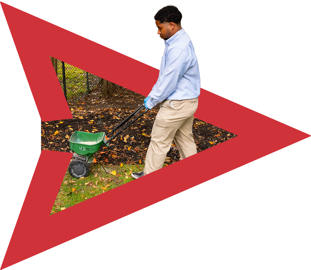 Pest Control in New Jersey