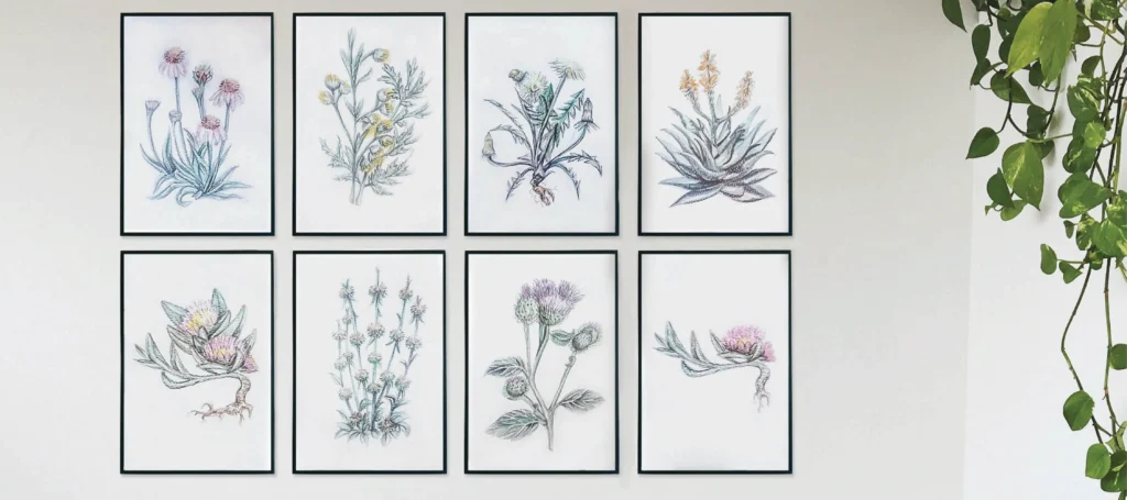 Intricate framed botanical illustrations by Sascha showcasing diverse plant species.