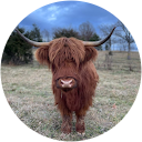 Bello Jensen profile picture