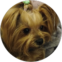 debra barnett profile picture