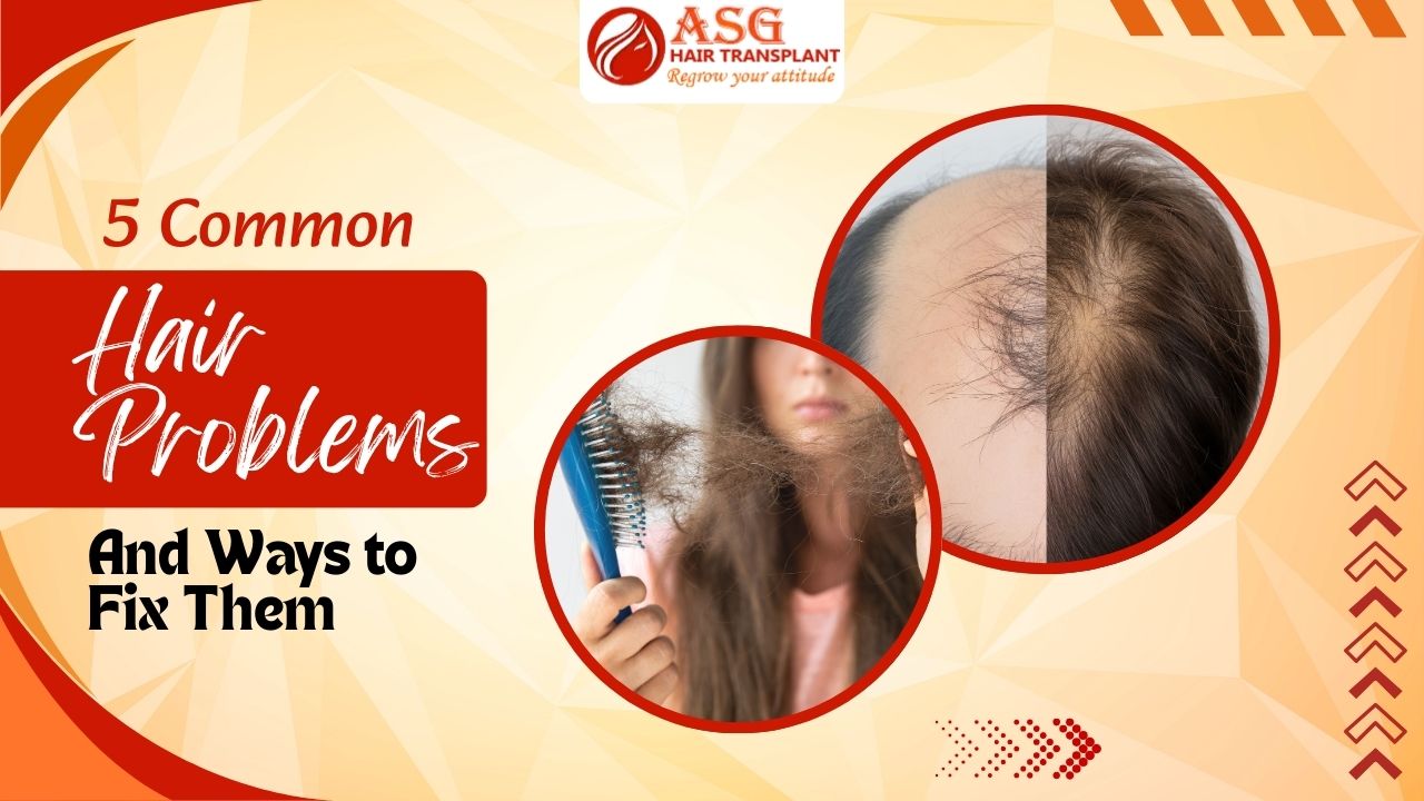 This Image Describes that 5 Common Hair Problems and Ways to Fix Them
