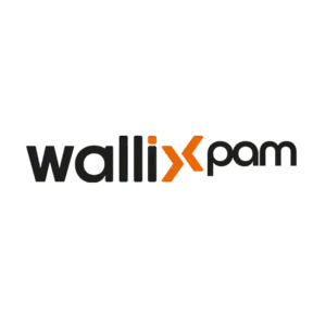 Advanced PAM Security Solutions with WALLIX in UAE