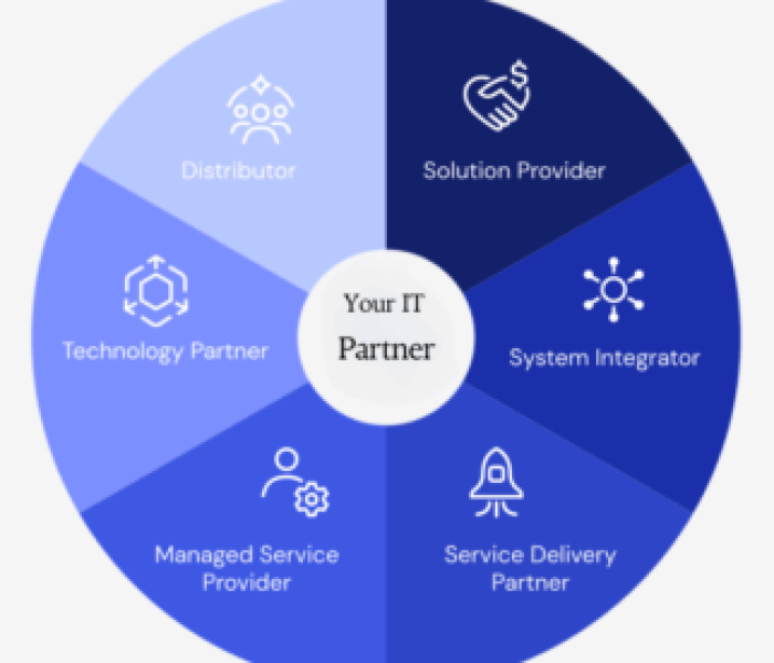 IT SOLUTIONS COMPANY IN DUBAI
