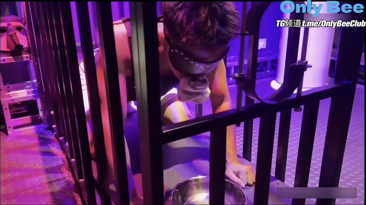 【Tearing_S】Immersive Dark Cage Chapter