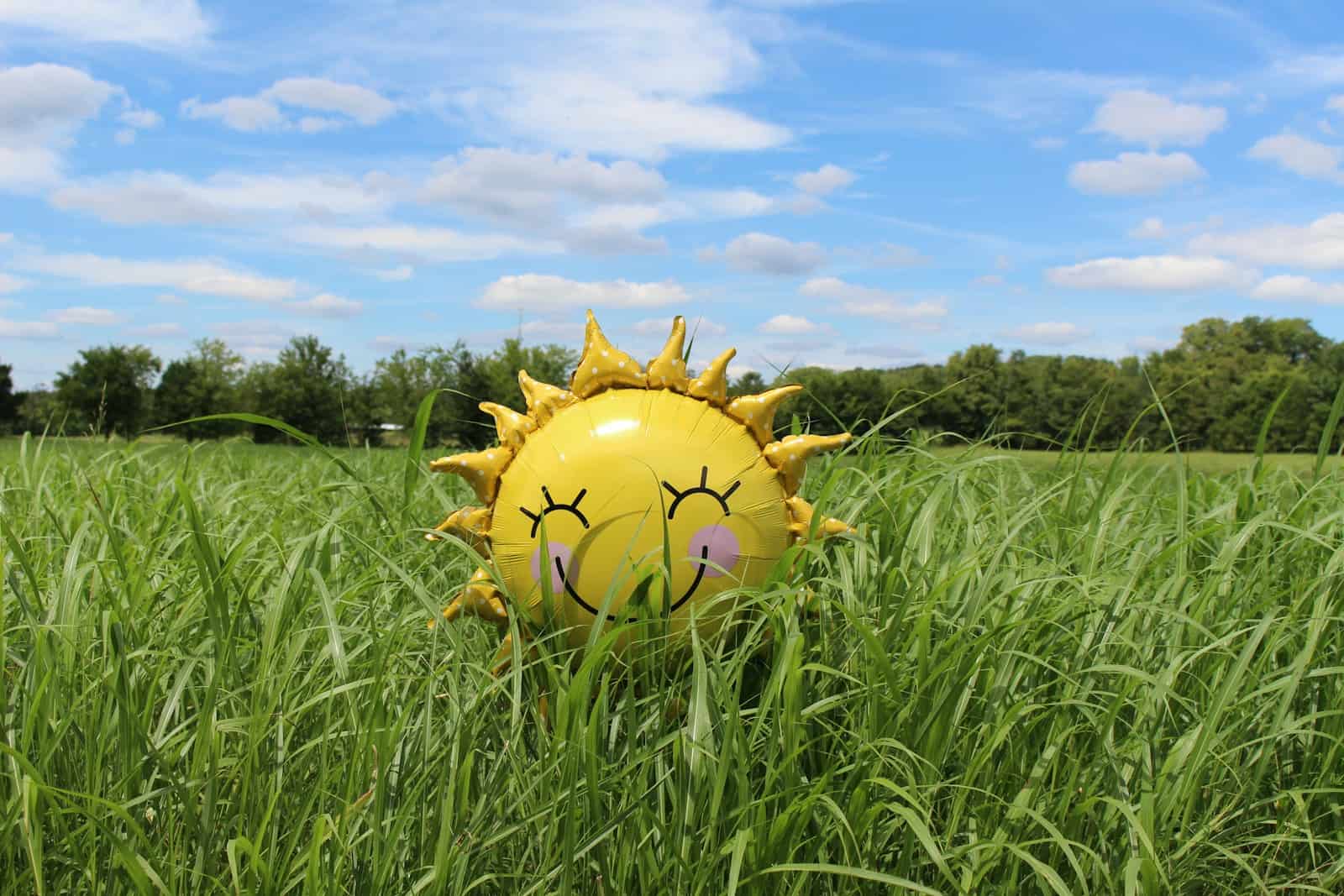 Zodiac: Sun Signs Revealed
