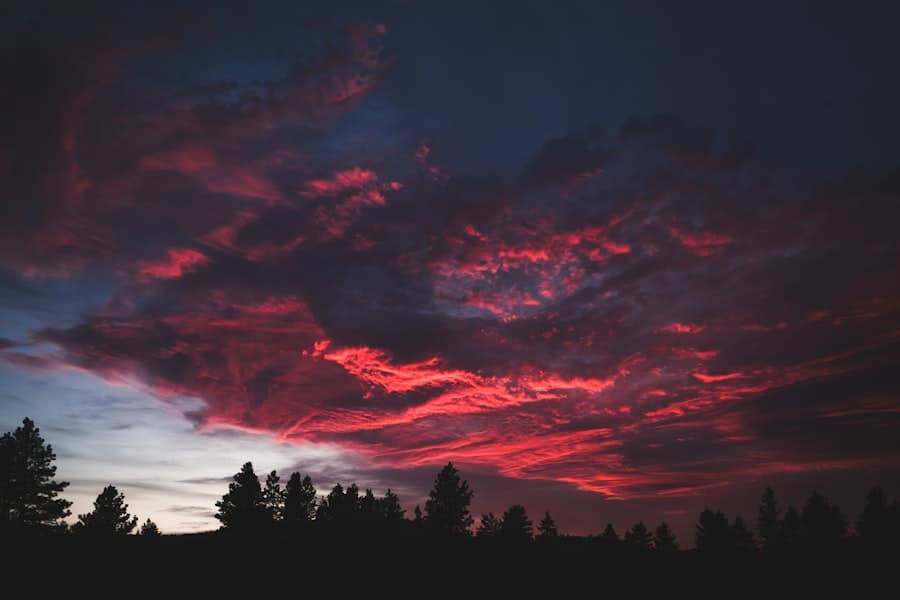 Unveiling Your Career Path with Astrology