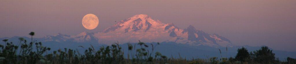 green leaf grass at distance to snow covered mountain during daytime
