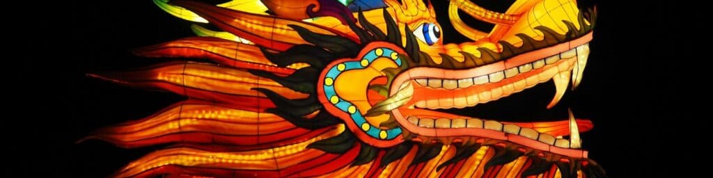 red and multicolored dragon illustration